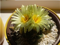 a369e930-Picture 4914.jpg